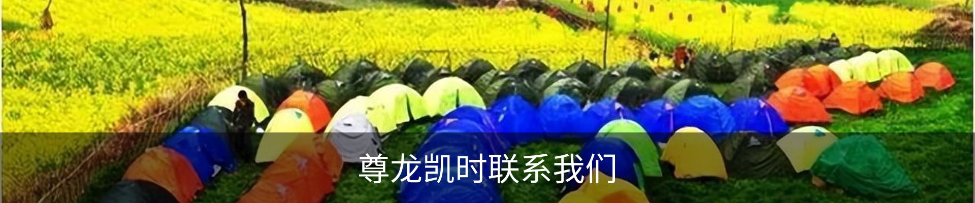 尊龙凯时联系我们